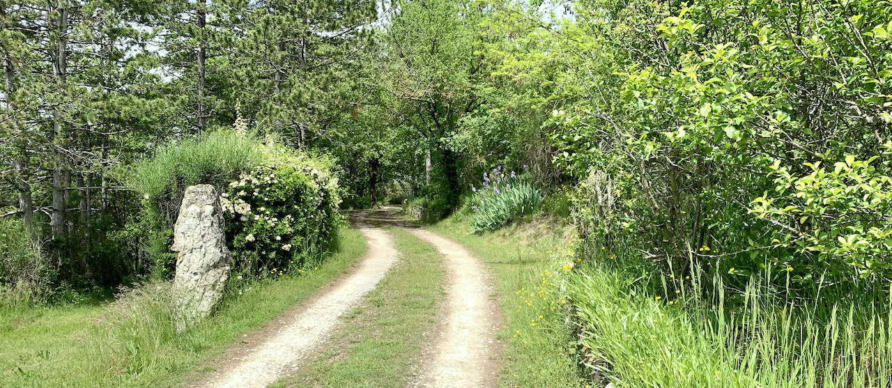 Camping Saillans - drôme